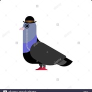 Mr. Pigeon avatar