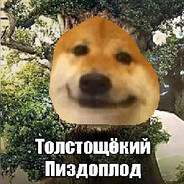 крутой роберто