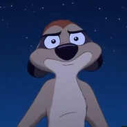 Timon