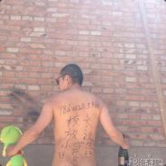 该配合你演出的我演视而不见