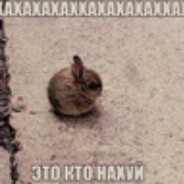 Аватар molly