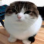 ButlazGazem