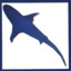 Shark.png