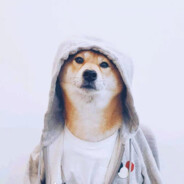 啊不是 还玩不玩