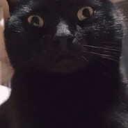 Lyshka