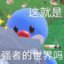 椰岛昊仔
