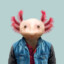 Axolotl