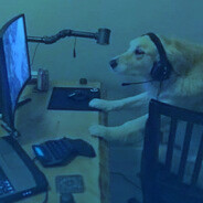 dog drowning in new york avatar