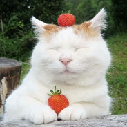 Булат Иосифович