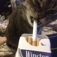 *Movlyan_Teams*winston