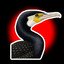 Cormoran09