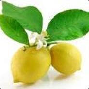 yolka