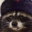 Comrade Raccoon's avatar