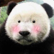 范范范先生er@0115