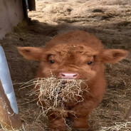 витя из брянска