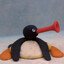 fat pingu