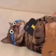 有中二病的妖怪