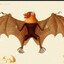 Bat Penis