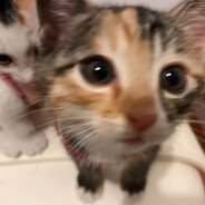 我与witch的性爱对决