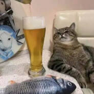 二千先生不太懂