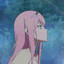 aster