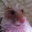 Glub-Tubbas Wepple
