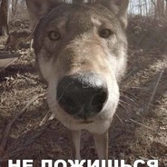 БаБУШкЕН_АК47