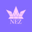 Nez