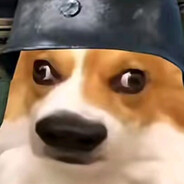 装糊涂的高手O。0