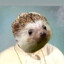 papajeż