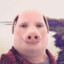 John Pork