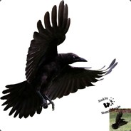 raven55k