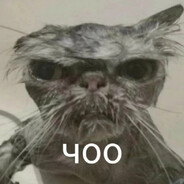 Ишак Ньютон