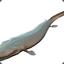 Tiktaalik