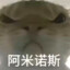 牛只羊