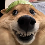 下等马划分线————