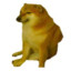 dogeypup7