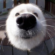 Storage ******* (Trade banned)