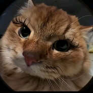 ♰𝓿𝓷𝓭𝓲𝓪♰