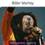 -=Bobr Marley=-