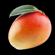 HawaiianMangoBeast