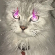 那年冬天她离开了我，我至今仍未忘记，我爱她