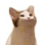 kimyj4ty78