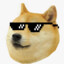 DOGE_Master