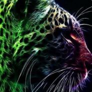 Where is my googles?!? 0_o