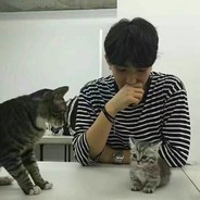 愿你的冬天永远不缺暖阳