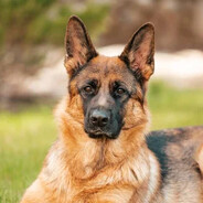 САША РОМАНЮК