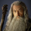 Gandalf Beard