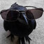 thatlittlebirb