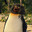 Big Z From Surfs Up's Avatar